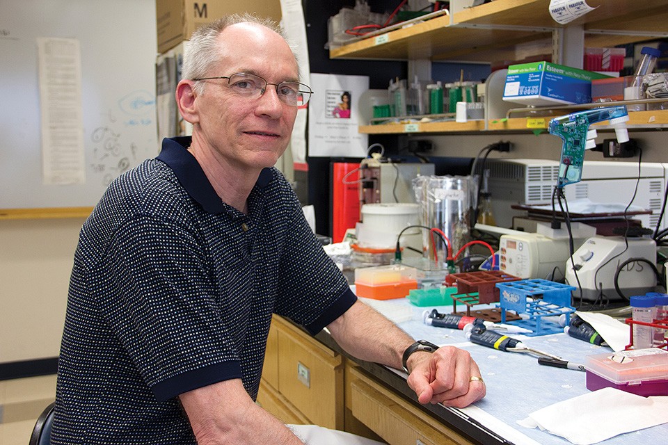 Since 1991, Washington University scientist David Sibley has focused his lab on one subject: the Toxo parasite. - DANNY WICENTOWSKI