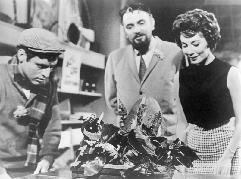 The original Little Shop of Horrors has no singing and few laughs, but an exceedingly grisly end. - (C) 1960 THE FILMGROUP