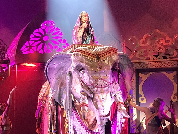 Go See Cher on Tour Or You're a Dipshit (4)