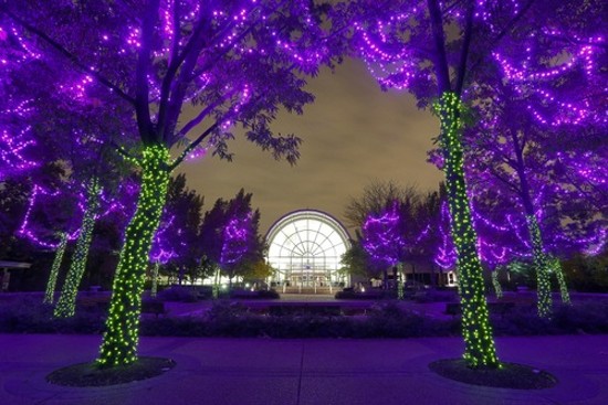 The Garden Glow at the Missouri Botanical Garden. - Credit Mary Lou Olson