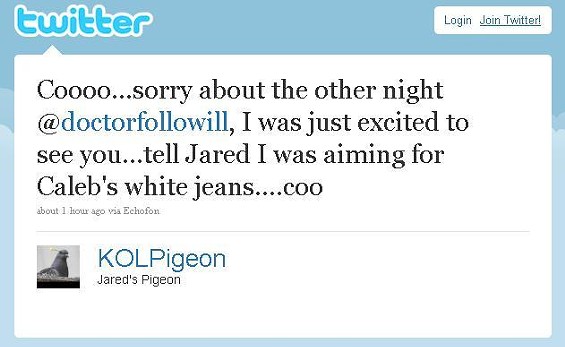 Pigeon Who Shat on Kings of Leon Bassist Speaks Out