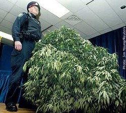 A cop with a huge bush - Image Via