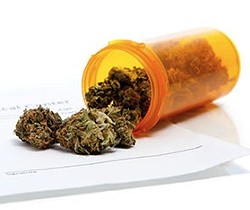 Illinois Gov. Signs Medical Marijuana Bill: Will Law Boost Pot Reform Efforts in Missouri?