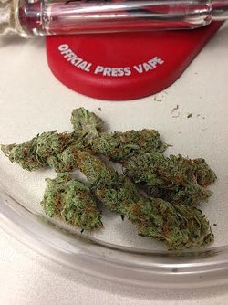 Velvet Sea weed in the Westword's official press vape - William Breathes