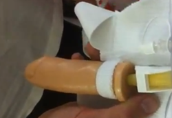 The "most realistic fake penis"? - via
