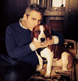 It's puppy love for Andy Cohen and Wacha. - bravoandy | Instagram