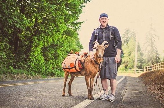 Steve Westcott is Walking Across St. Louis, and America, With a Goat