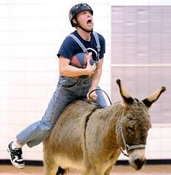 PETA Denounces Donkey Basketball Fundraiser at Local High School