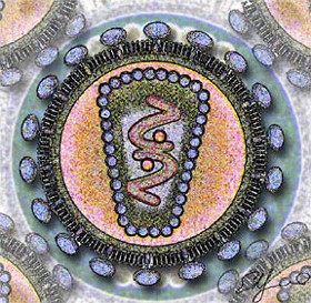 A stylized rendering of the HIV virus. - Los Alamos National Laboratory