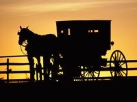 New and Old Worlds Collide: Was Man Texting and Driving When He Struck Amish Buggy?