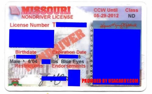 Example of the concealed-carry license endorsement in question. - via