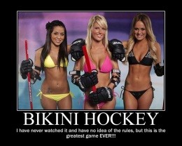 How To Get Your Hockey Fix