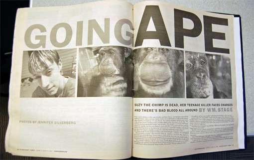 Going Ape: Chimp Attack Recalls Festus Man's Story