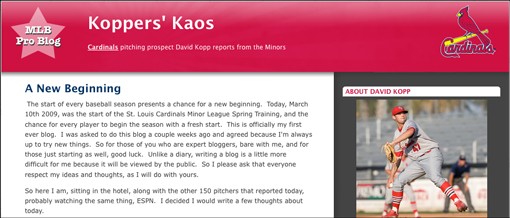 David Kopp, Blogging Sensation?