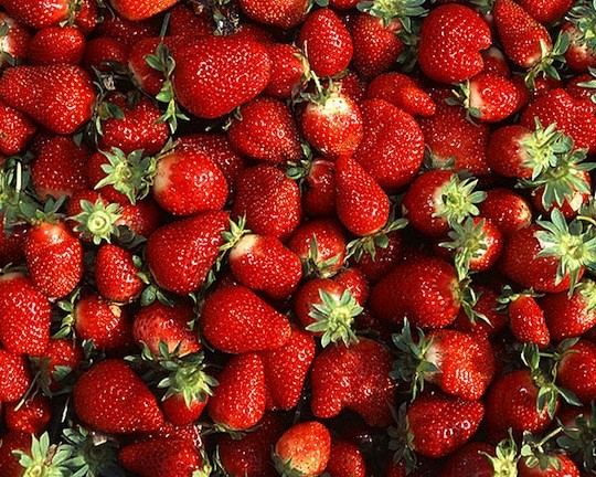 St. Jacob Strawberry Festival and Berry Bicycle Ride This Saturday