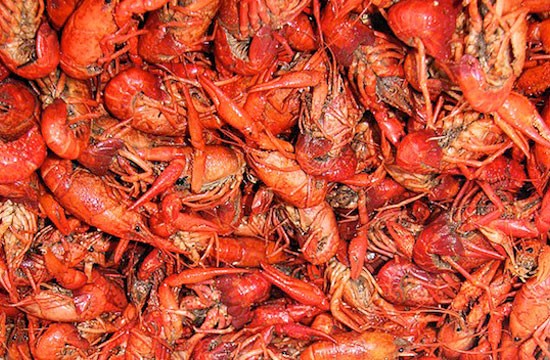 Broadway Oyster Bar Invites You to Suck It at Crawfish Fest This Weekend