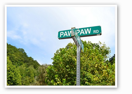 Meet the Pawpaw: Missouri's Forgotten Fruit