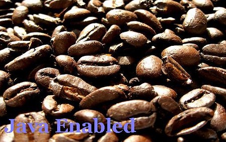 Java Enabled: Fifteen Shots Later, Part 1