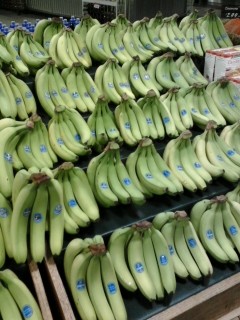 Bananas at the Hampton Village Schnucks on Jan. 31. - Kate Stewart