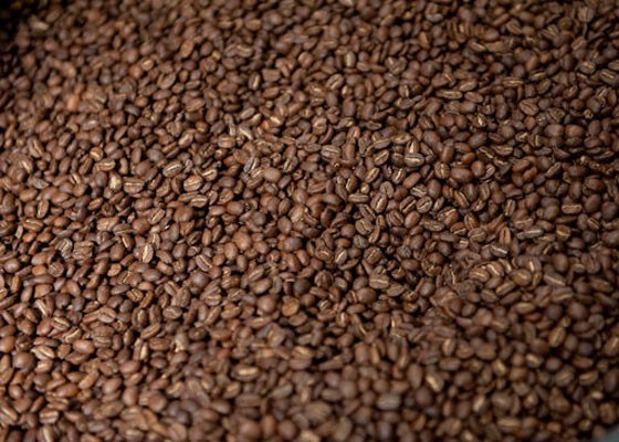 Beans at Kaldi's Coffee. | Jon Gitchoff