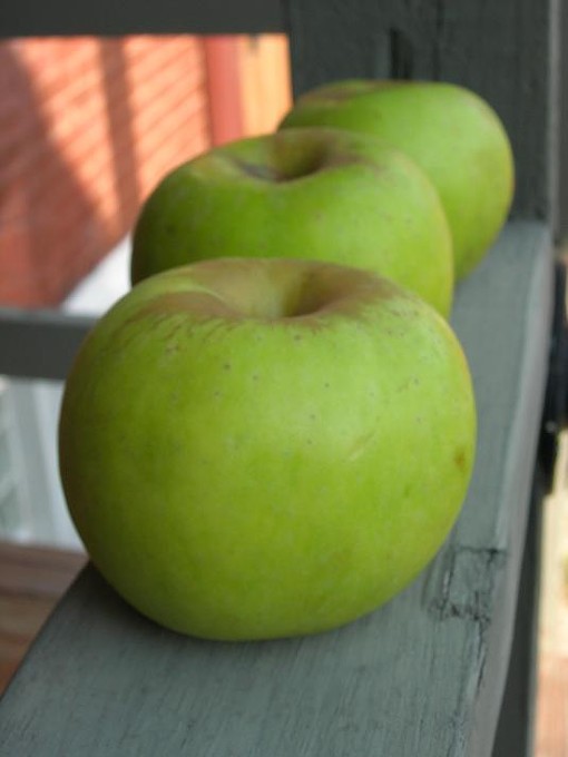 Farmers' Market Share: Peach Pound Cake and Apple Honeycake
