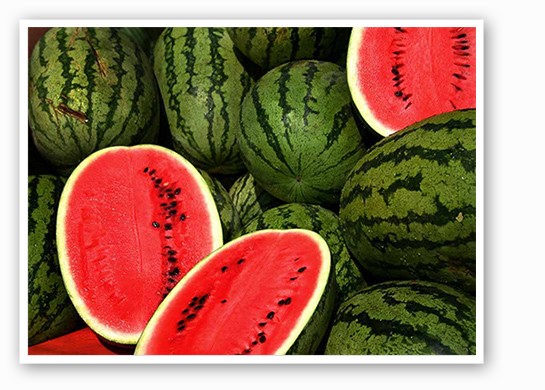 &nbsp;&nbsp;&nbsp;&nbsp;&nbsp;&nbsp;&nbsp;Enjoy some more watermelon this summer | Steve Evans