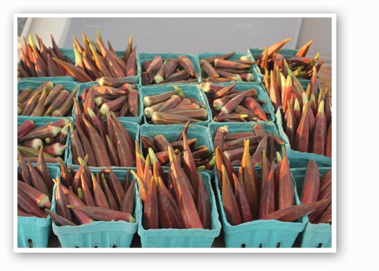 &nbsp;&nbsp;&nbsp;&nbsp;&nbsp;&nbsp;&nbsp;Claverach Farms' red okra: the more mysterious version of its green relative. | Cheryl Baehr