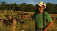 Salatin and his grass-fed cows. - foodincmovie.com