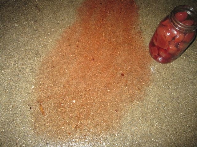 Beet pickle brine, applied to uniced concrete on January 31 at 9 p.m. - Robin Wheeler