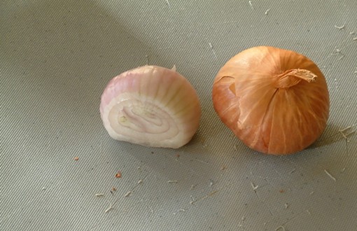 The Novice Foodie Sheds Tears of Joy for the Humble Shallot