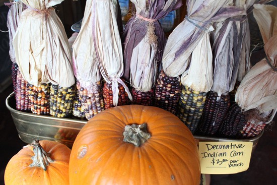 Maude's Market Offers Heritage Turkeys for Thanksgiving
