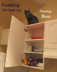 Cooking For Your Cat: Cat Munchies