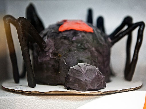 Triple chocolate black widow spider, a deadly combination. - PHOTO: STEW SMITH