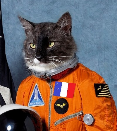 cat_astronaut.jpg