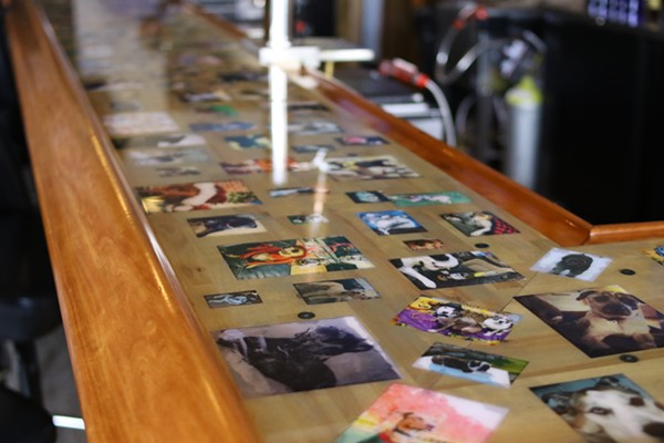 The bar is covered in photos of dogs sent in by customers. Since it is covered in resin, they are no longer accepting photos. - CHELSEA NEULING