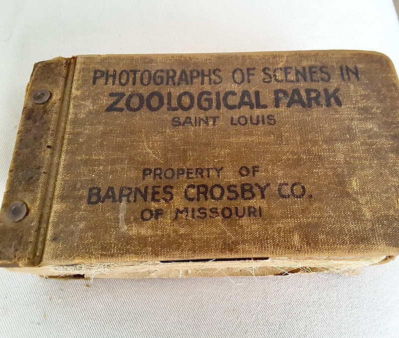 Vintage Photos of the Saint Louis Zoo Reveal How Much Has Changed (18)