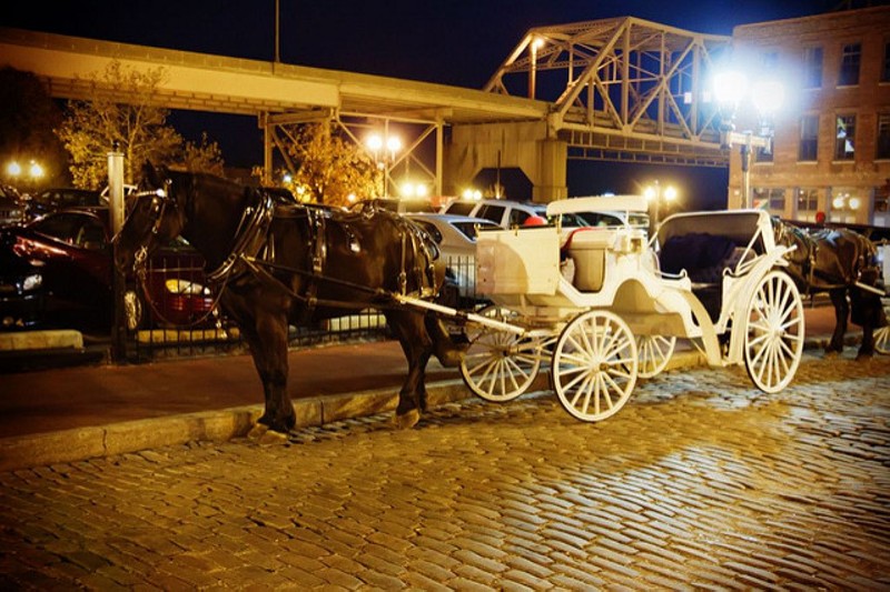 Horse-drawn carriages are a popular tourist attraction downtown. - Photo courtesy of Flickr/Rian Castillo