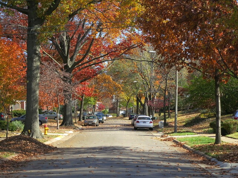 Richmond Heights in the fall: Could anything be more pretty? - FLICKR/PAUL SABLEMAN