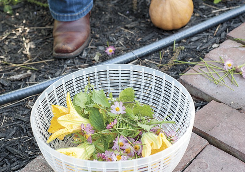 Lehman’s strainer contains wild cosmos​ flowers​, Seminole pumpkin flowers and the green leaves of shiso. Kounter Kulture used the shiso in a pesto. - PHOTO BY KELLY GLUECK