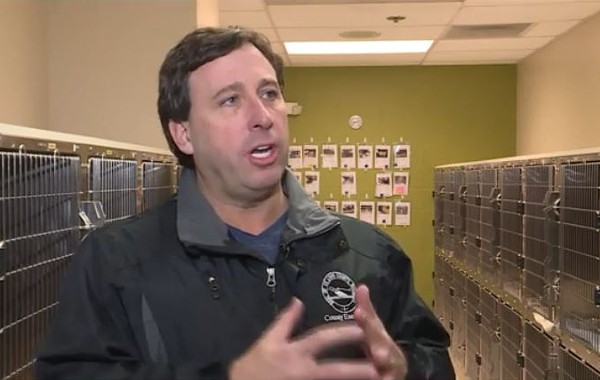 Former STL County Executive Steve Stenger touted his shelter's now-disputed drop in euthanasia rate. - SCREENSHOT VIA FOX2
