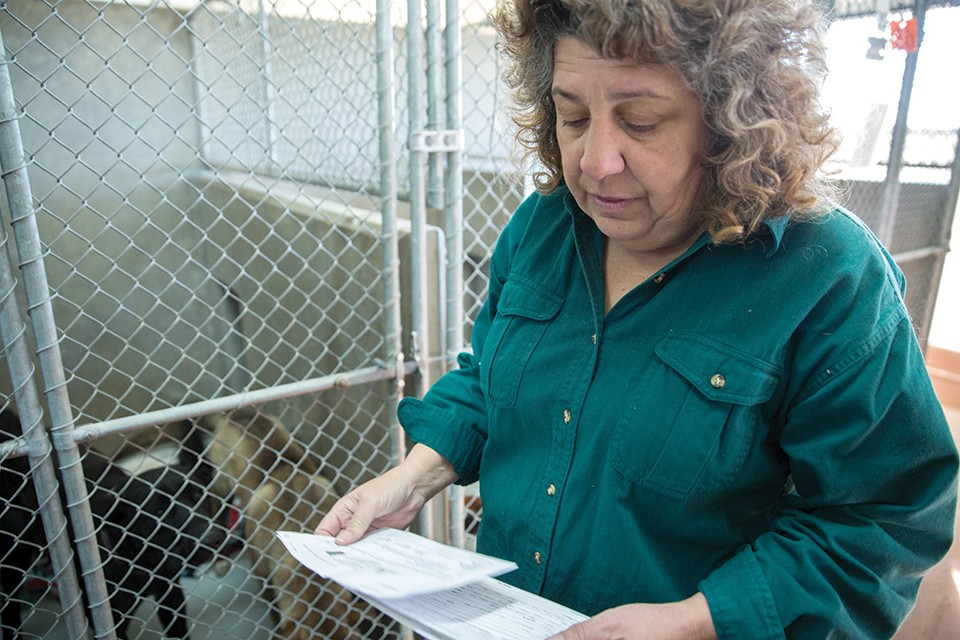 Beth Vesco-Mock, pictured here at her previous shelter director job New Mexico, came to St. Louis in 2017 with high hopes. She was fired after 7 months. - JOSH BACHMAN/LAS CRUCES SUN-NEWS
