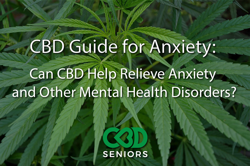 CBD Guide for Anxiety: Can CBD Help Relieve Anxiety and Other Mental Health Disorders?