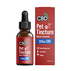 Best CBD Oil for Dogs 2021 - CBD for Pets Reviews