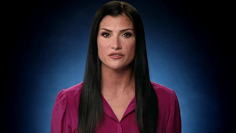 Former St. Louisan Dana Loesch hopes to be the new Rush Limbaugh — and she just might be awful enough to pull it off. - SCREENSHOT FROM THIS VIDEO