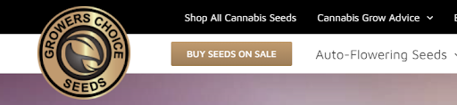 Where to Buy Cannabis Seed in Canada: The Best Canadian Seed Banks in 2022 (Marijuana Seeds Online in CA)