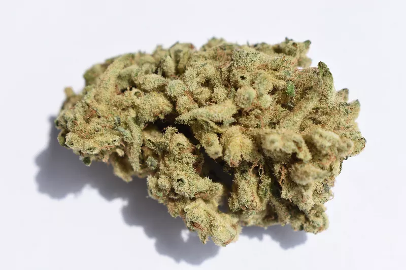 Sinse's"Miracle Alien Cookies" hybrid, purchased at the Grove location of Swade Cannabis. - TOMMY CHIMS