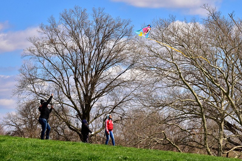 People flying a kite in Marquette Park in Dutchtown. -  Dutchtown St. Louis / Flickr