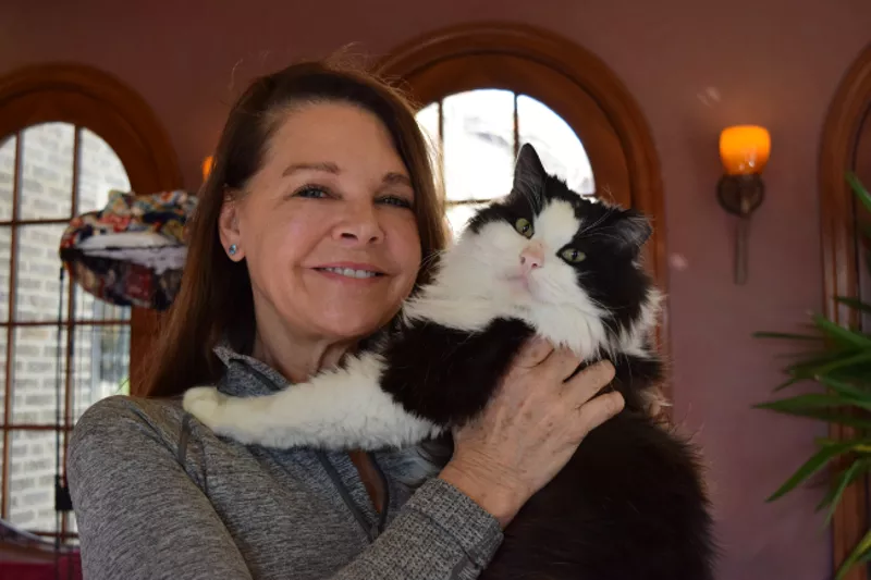 St. Louis cats, Beloved cat adopted by nursing home