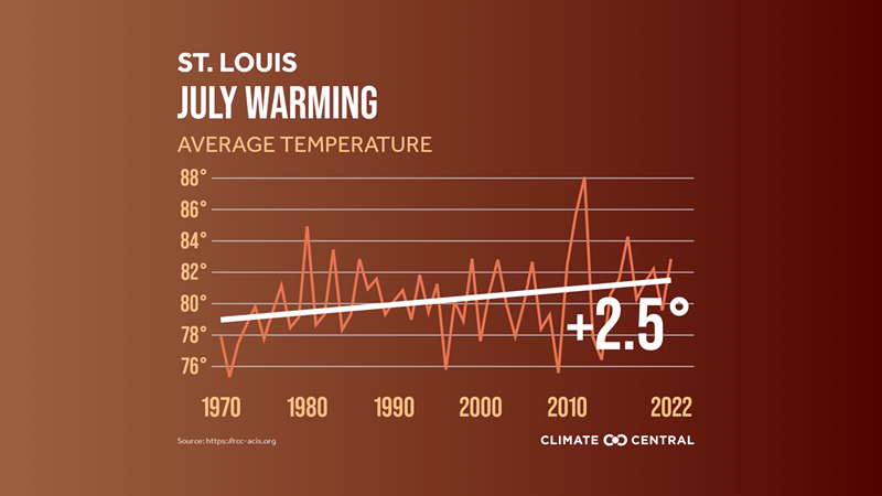 The average temperature in St. Louis has increased by 2.5 degrees since 1970. - VIA CLIMATE CENTRAL