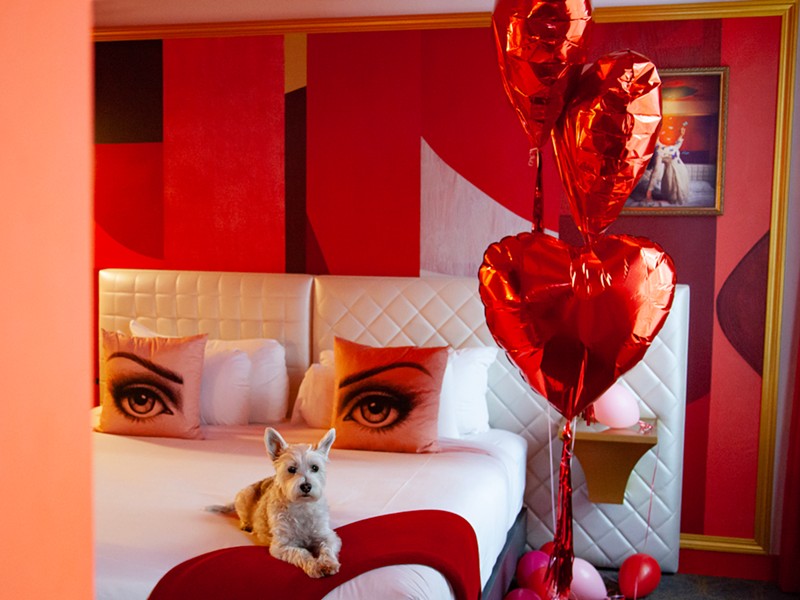 A dog sits on a bed in a hotel room.